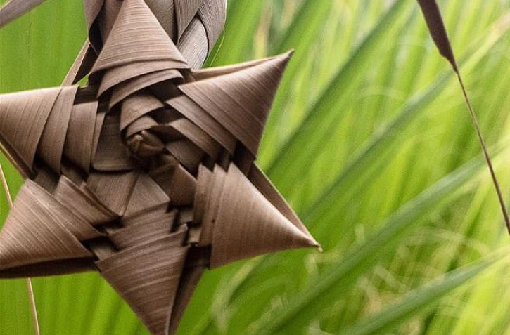 Initiation au tressage du cocotier