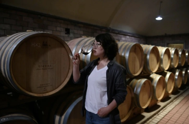 Dans le monde, "il y a de plus en plus de vigneronnes excellentes", se réjouit Zhang Jing en faisant visiter à l'AFP la cave de son domaine, Helan Qingxue, dans la région du Ningxia, dans le nord de la Chine ( AFP / GREG BAKER )