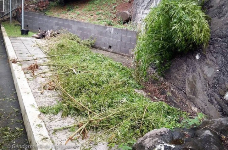 Découverte zamal gendarmes 