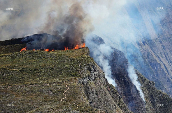 Incendie Maïdo 2020