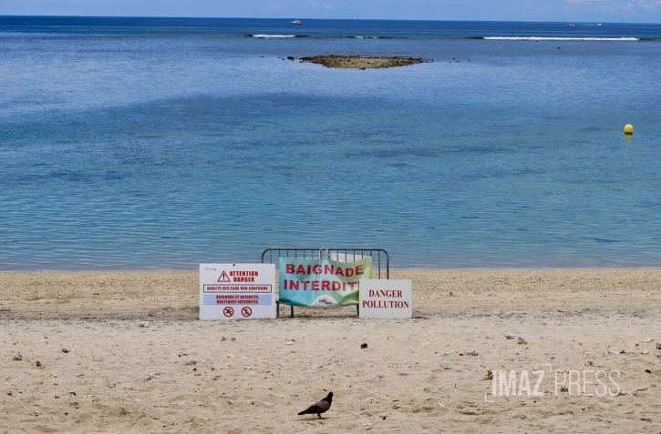 Poissons morts dans le lagon