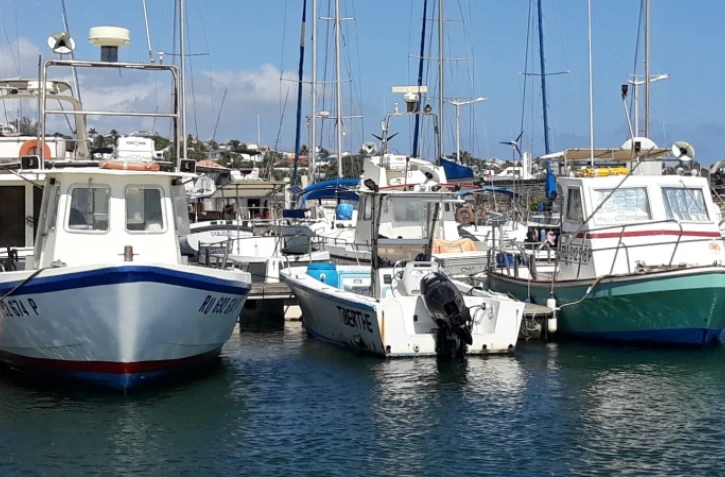 comité régional des pêches, bilan, programme, actions
