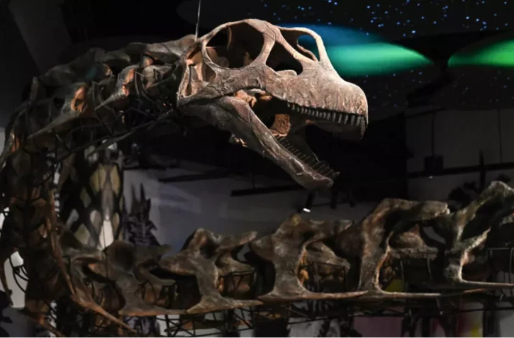 Une maquette du squelette du Nagatitan chaiyaphumensis, le plus grand dinosaure de Thaïlande, au musée Thainosaur de Bangkok le 15 mai 2026. © Lillian Suwanrumpha, AFP