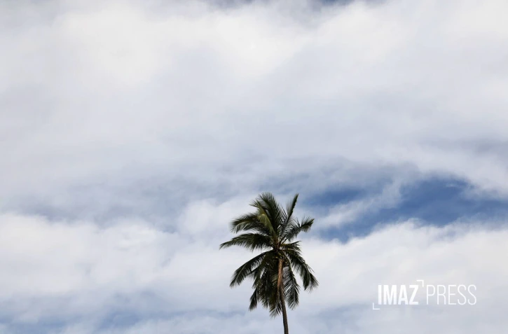 météo réunion