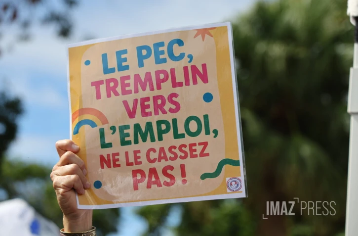 Baisse contrats PEC