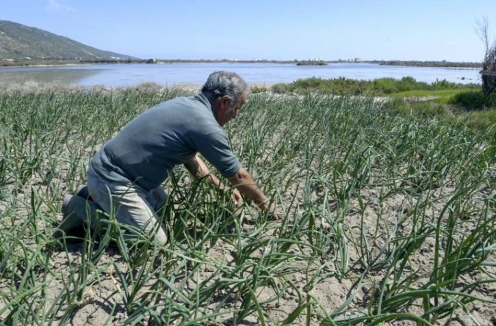 Un fermier travaille sur son terrain près de la mer dans le village de pêcheurs de Ghar El Melh dans le nord de la Tunisie, le 31 mars 2021