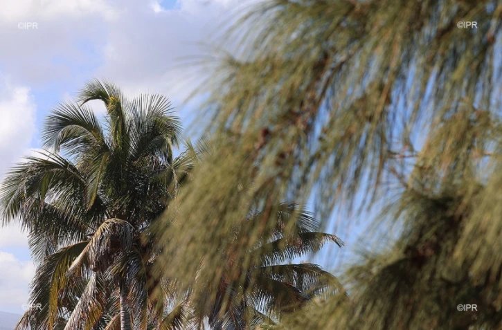 météo réunion 