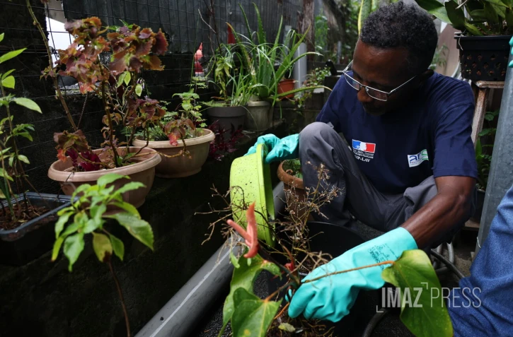 Sensibilisation contre la Dengue