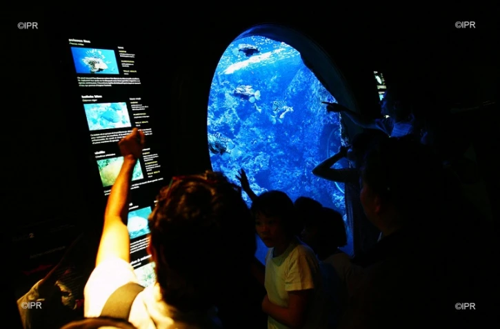 Aquarium de La Réunion