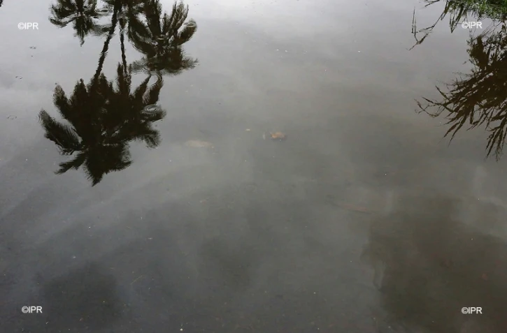 pluie 