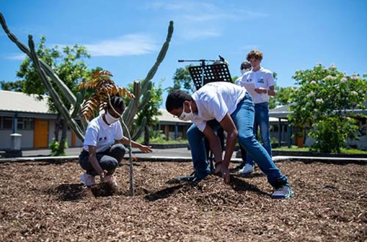 Le Port : le collège Oasis plante un arbre en hommage à la liberté