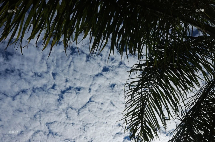 ciel 