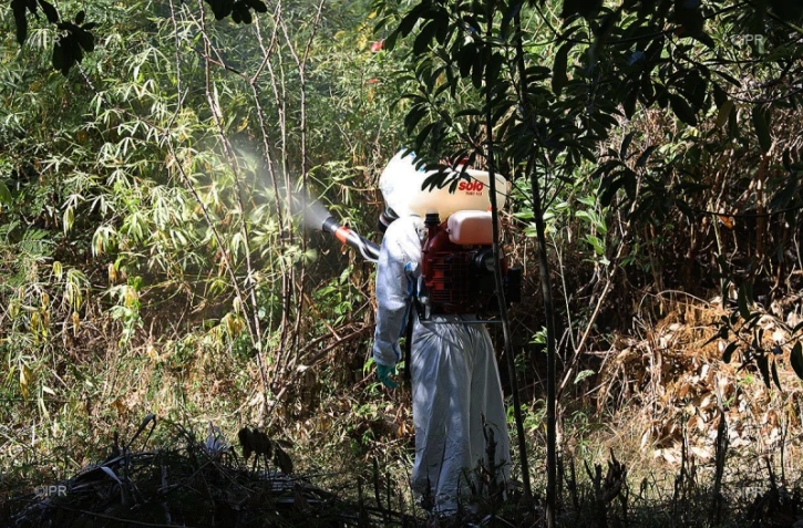 Vendredi 5 avril 2019 - opération de démoustication à la Ravine des Cabris