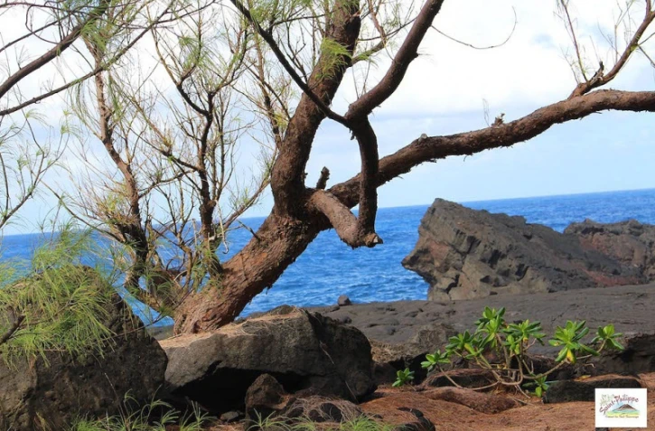 Les chasseurs de trésor piratent le Puits arabe