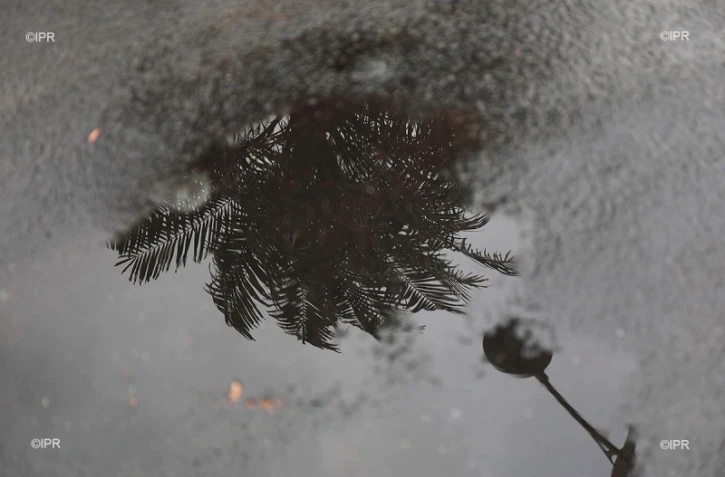 pluie 