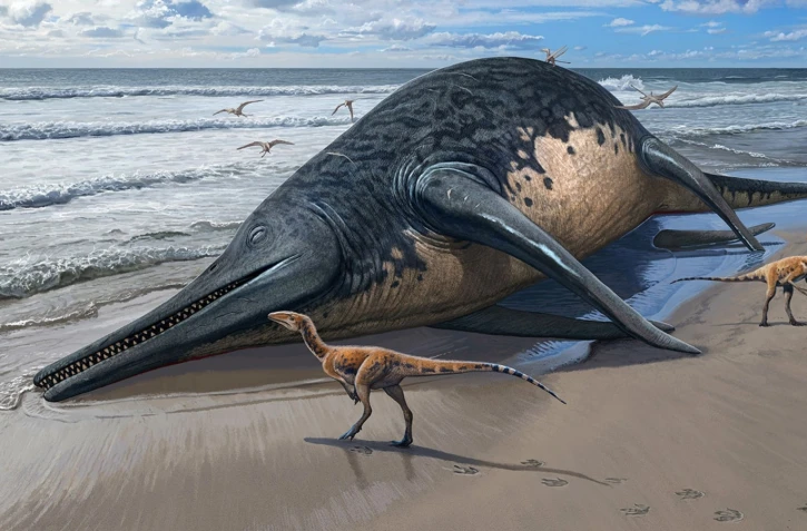 An illustration of a washed-up Ichthyotitan severnensis carcass on the beach. Pic: PA