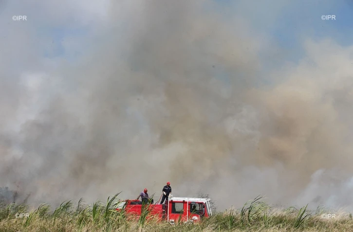 feu de canne 