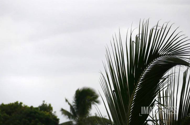 La météo sur La Réunion