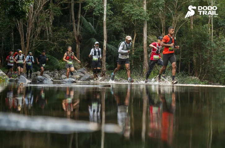 Dodo Trail 2026 : les traileurs réunionnais brillent sur les sentiers mauriciens