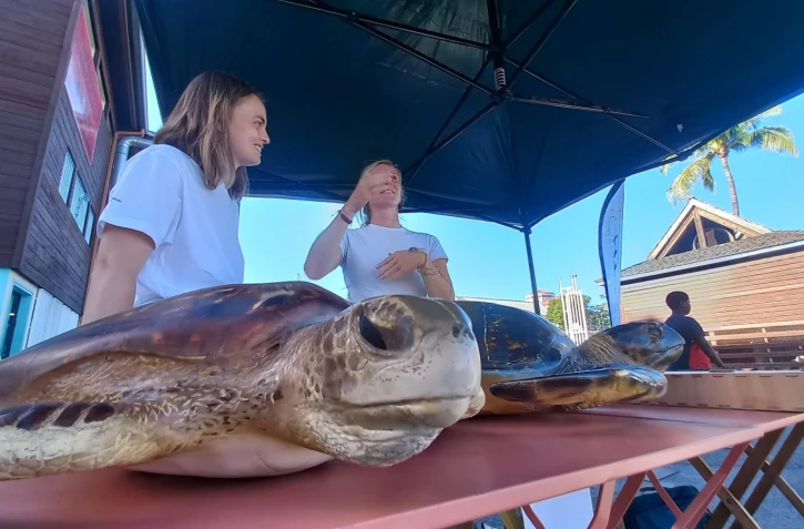 Saint-Gilles : journée de sensibilisation à la protection des tortues marines