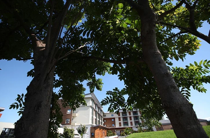 Clinique les tamarins