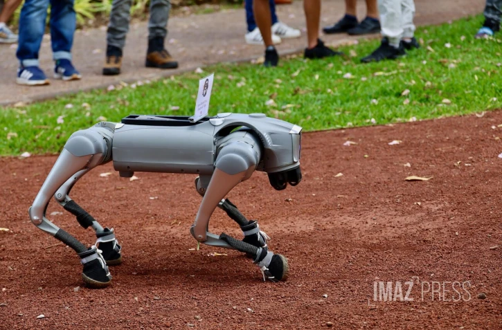 Chien robot, Technologies