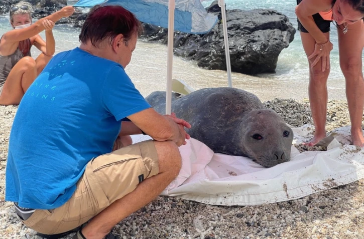 Bibi à Saint-Gilles