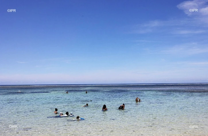 Pique-nique contre les restaurants de plage 4 février 2018