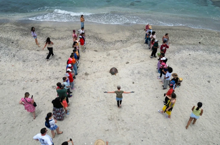 Concours Océano Pour Tous : les élèves de Quartier Français se mobilisent pour la préservation des tortues marines