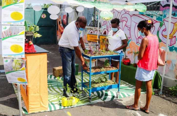 Journée mondiale environnement
