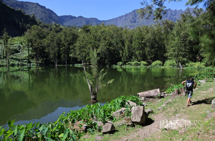 mare à poule d'eau , salazie 