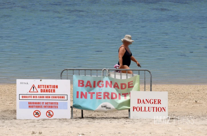 Poissons morts dans le lagon