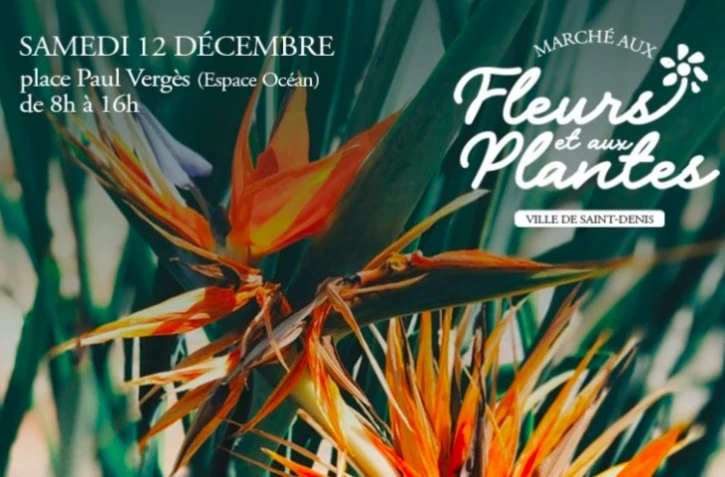 Marché aux fleurs et aux plantes