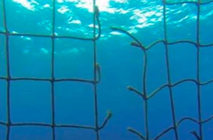 Filets anti-requins \"sabotés\"