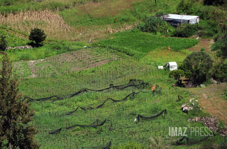 terrain agricole à cilaos