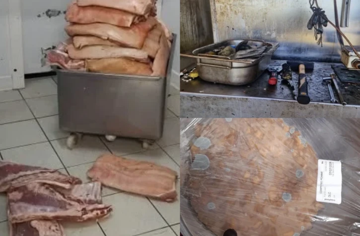 Viande au sol, cafards, excréments d'oiseaux : deux commerces du sud fermés pour "risques graves" pour les consommateurs