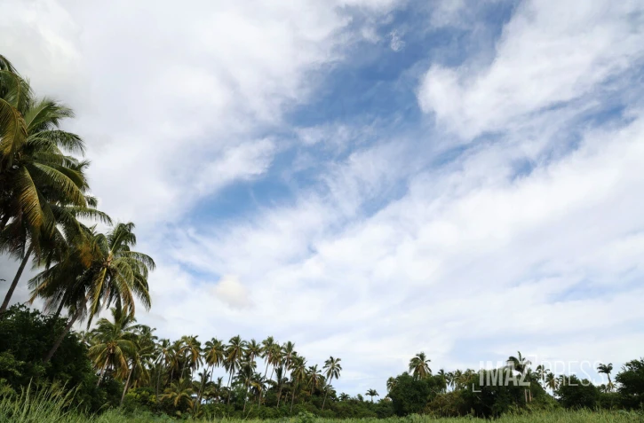 météo réunion
