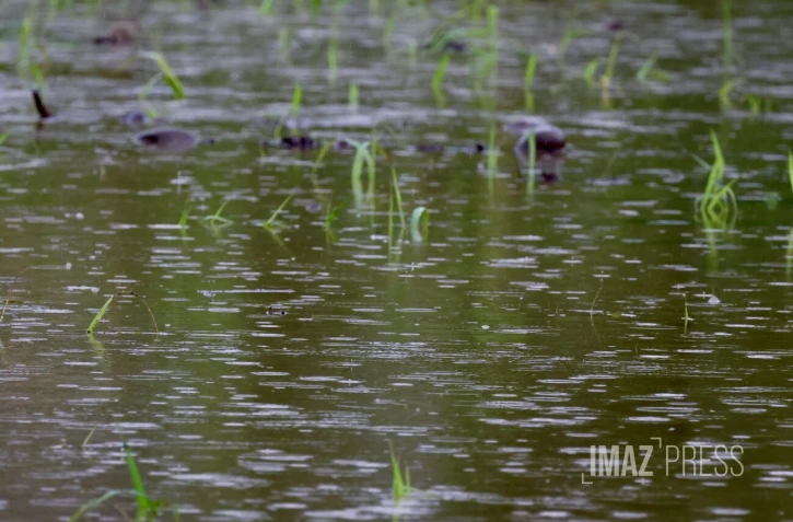 Perturbation tropicale : La Réunion toujours en vigilance fortes pluies et orages et risque de crues [?]