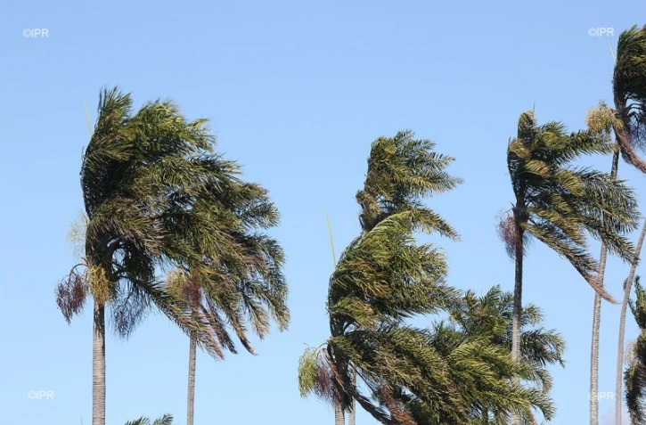 météo réunion 