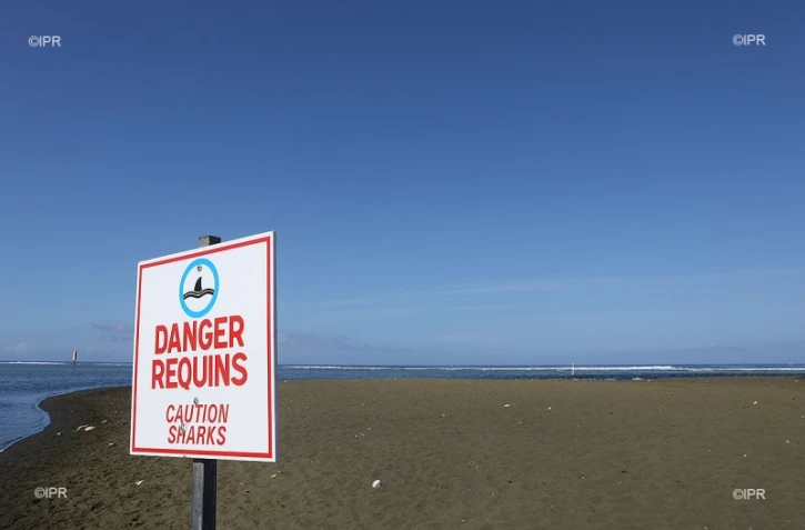 surf et baignade 