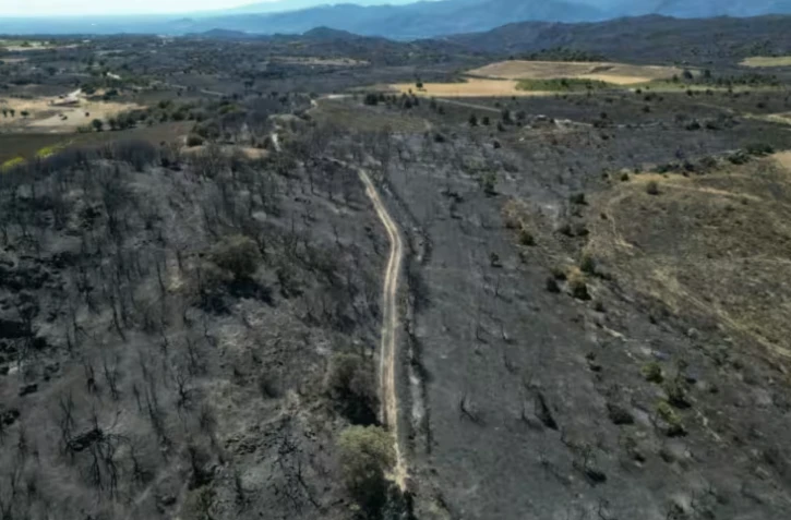 Vue aérienne d'une zone dévastée par des incendies près de Montalba-le-Château, dans les Pyrénées-Orientales, le 7 juillet 2026 ( AFP / LIONEL BONAVENTURE )