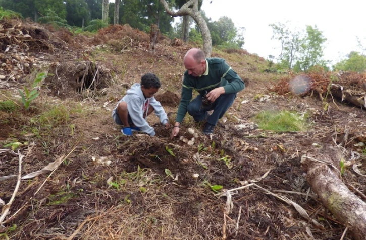 1 000 arbres de plus à La Réunion