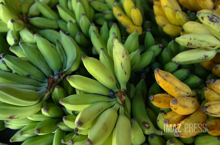 bananes
