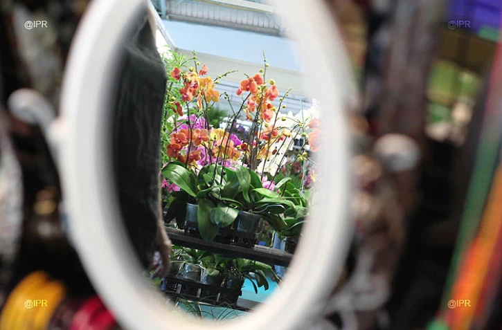 Salon Flore et Halle