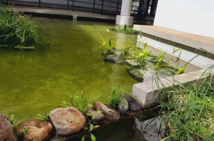 Bassin zen Lislet Geoffroy 