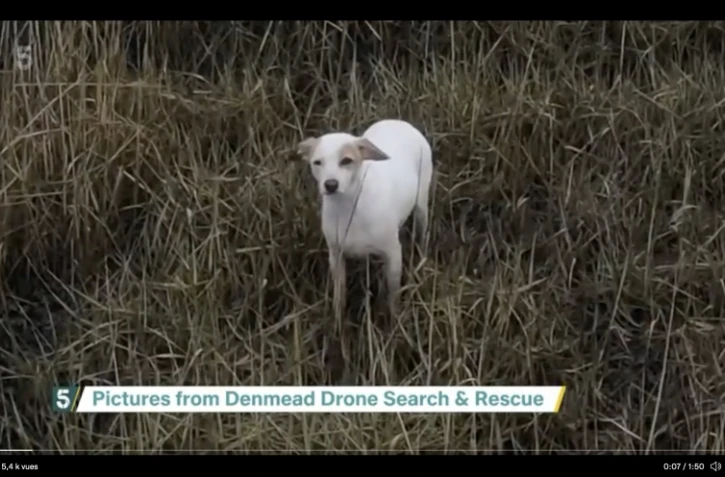 Chien sauvé avec un drone et une saucisse