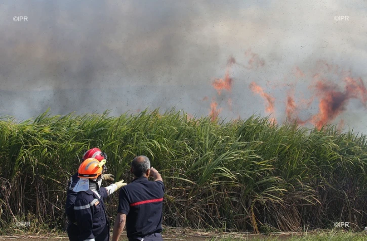 Feu de cannes à Sainte-Suzanne 31 août 2016