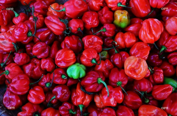 légumes et fruits