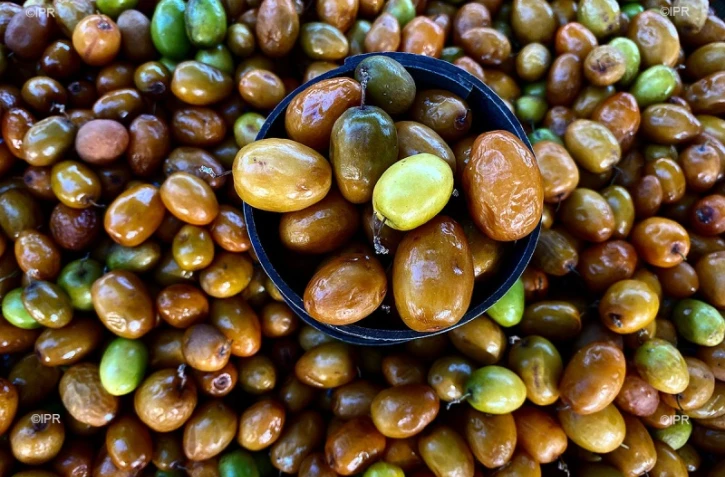 Fruits et légumes