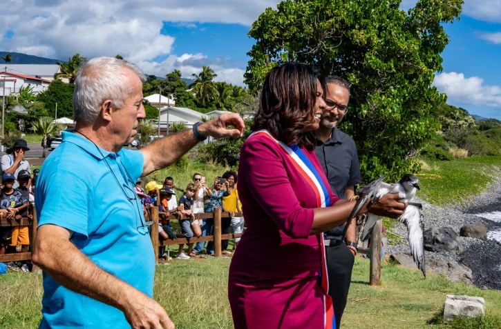 Cinor : la liberté pour le petrel de barau